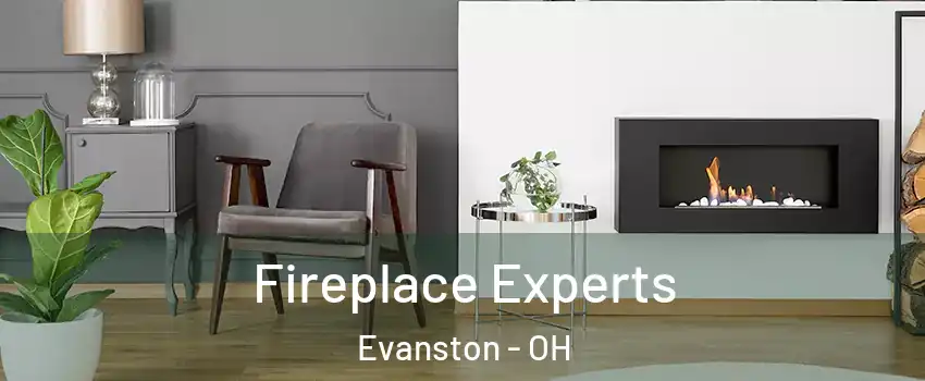 Fireplace Experts Evanston - OH