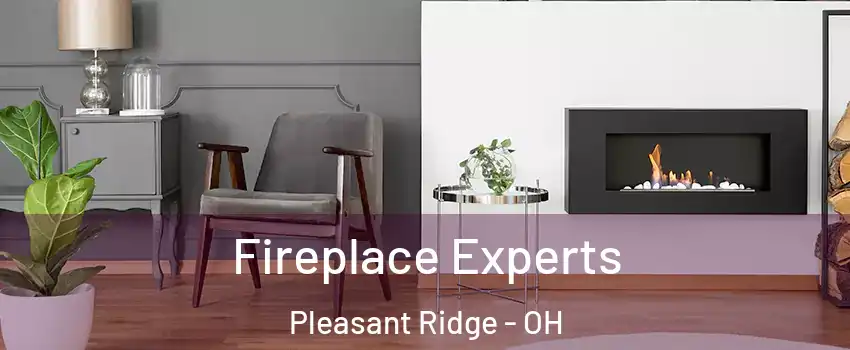 Fireplace Experts Pleasant Ridge - OH