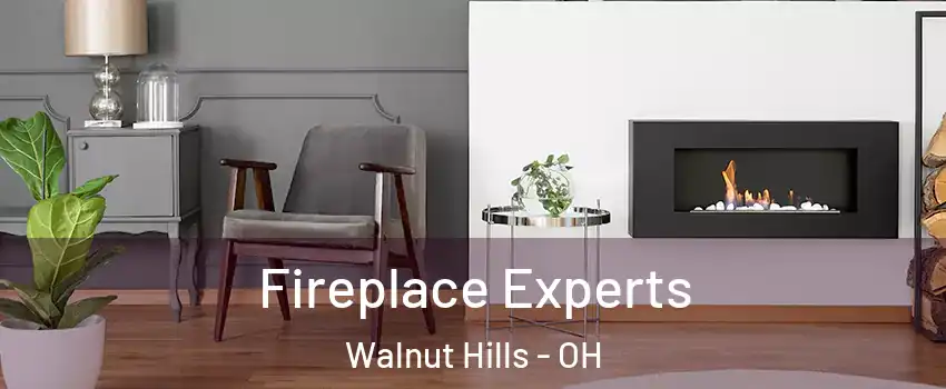 Fireplace Experts Walnut Hills - OH