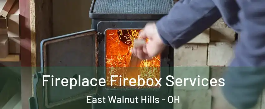 Fireplace Firebox Services East Walnut Hills - OH