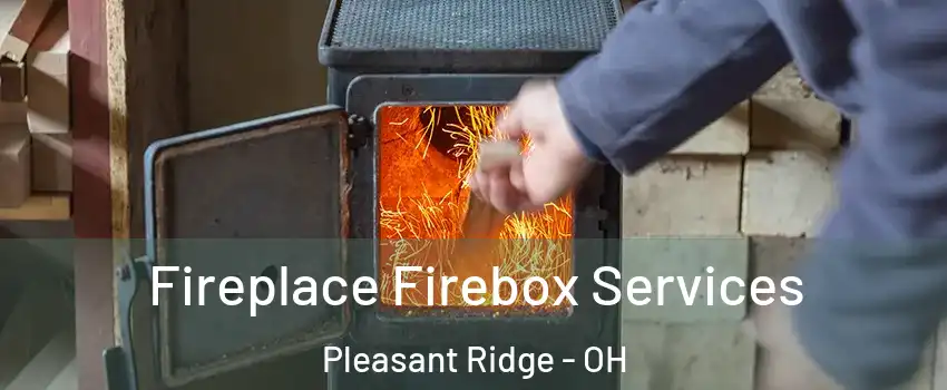 Fireplace Firebox Services Pleasant Ridge - OH