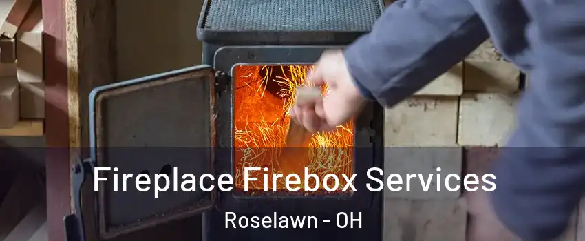 Fireplace Firebox Services Roselawn - OH