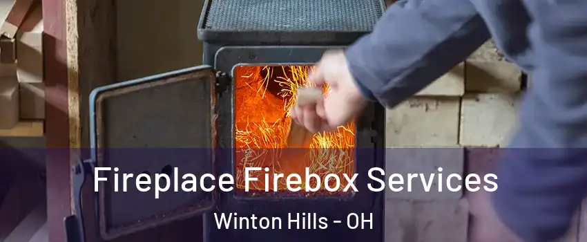 Fireplace Firebox Services Winton Hills - OH