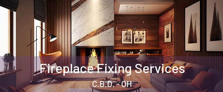 Fireplace Fixing Services C.B.D. - OH