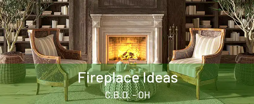 Fireplace Ideas C.B.D. - OH