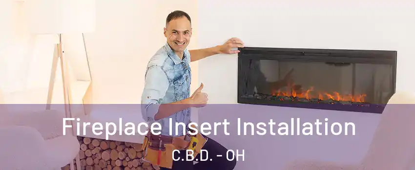 Fireplace Insert Installation C.B.D. - OH