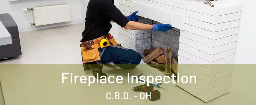 Fireplace Inspection C.B.D. - OH