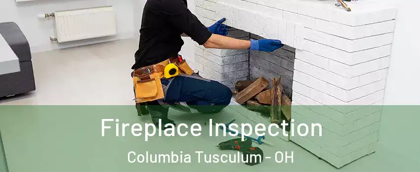 Fireplace Inspection Columbia Tusculum - OH