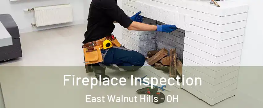 Fireplace Inspection East Walnut Hills - OH