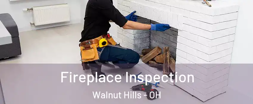 Fireplace Inspection Walnut Hills - OH