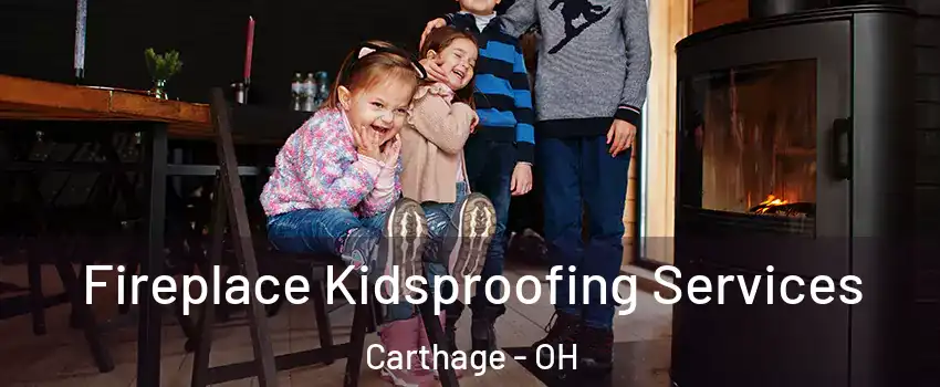 Fireplace Kidsproofing Services Carthage - OH