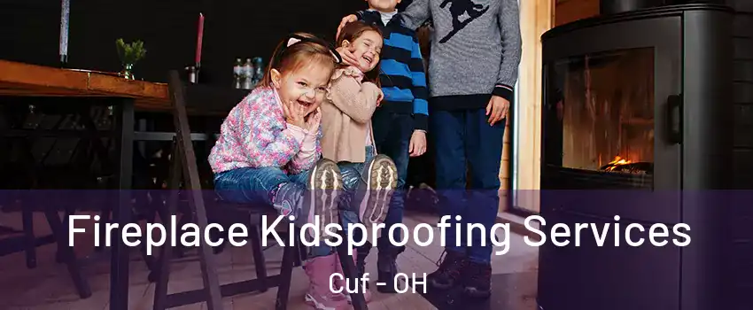 Fireplace Kidsproofing Services Cuf - OH