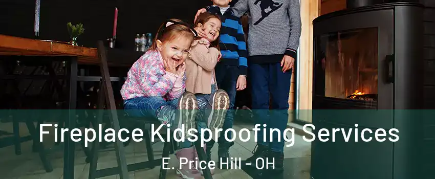 Fireplace Kidsproofing Services E. Price Hill - OH