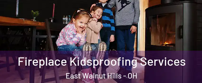 Fireplace Kidsproofing Services East Walnut Hills - OH