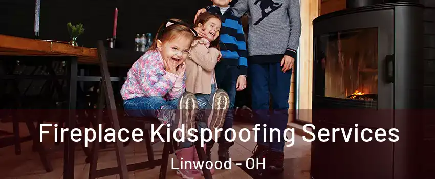 Fireplace Kidsproofing Services Linwood - OH