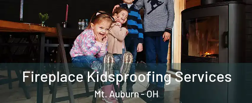 Fireplace Kidsproofing Services Mt. Auburn - OH