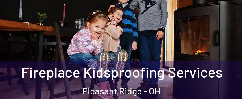 Fireplace Kidsproofing Services Pleasant Ridge - OH