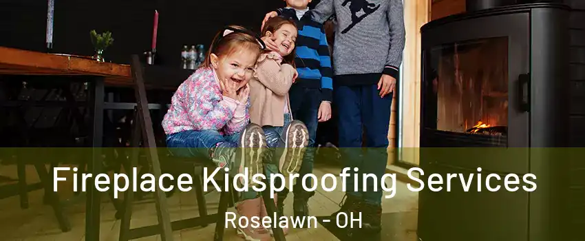 Fireplace Kidsproofing Services Roselawn - OH