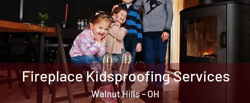 Fireplace Kidsproofing Services Walnut Hills - OH