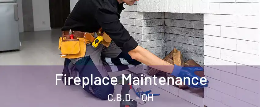 Fireplace Maintenance C.B.D. - OH