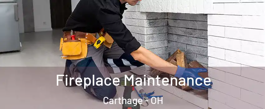 Fireplace Maintenance Carthage - OH