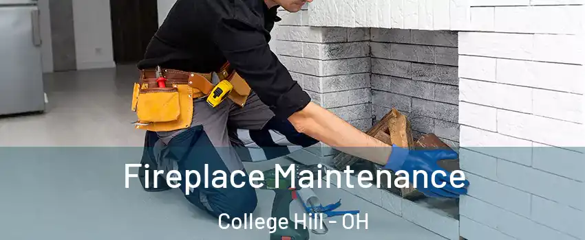 Fireplace Maintenance College Hill - OH