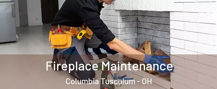 Fireplace Maintenance Columbia Tusculum - OH