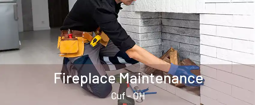 Fireplace Maintenance Cuf - OH