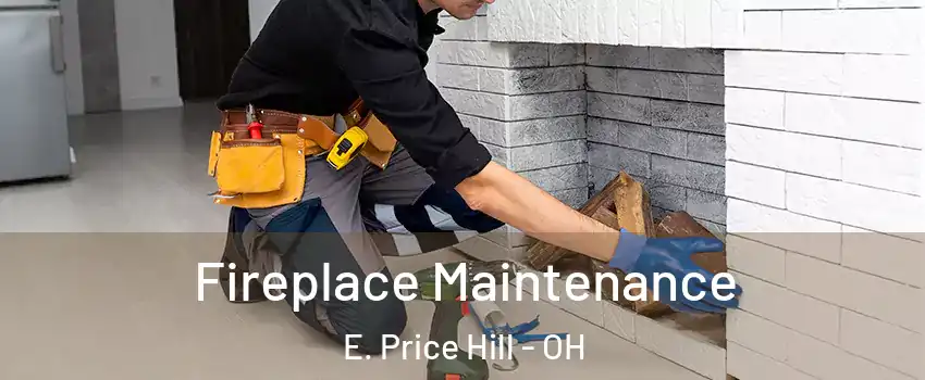 Fireplace Maintenance E. Price Hill - OH