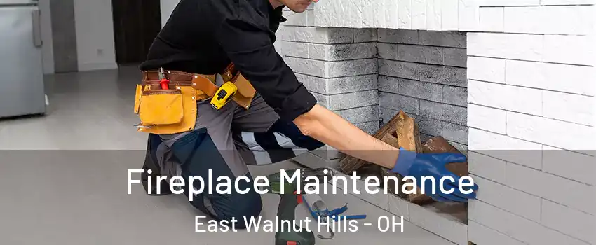 Fireplace Maintenance East Walnut Hills - OH