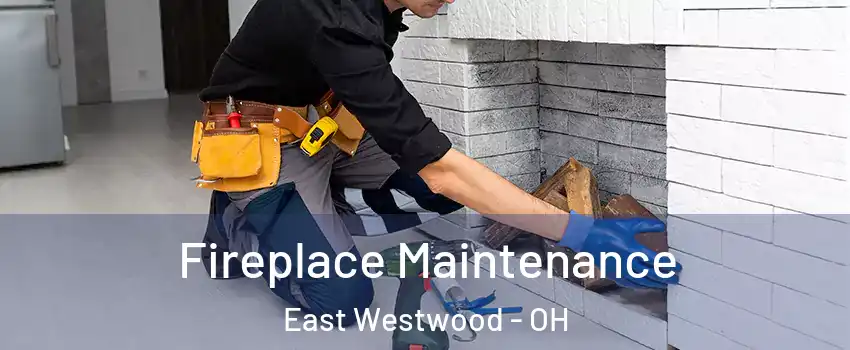 Fireplace Maintenance East Westwood - OH