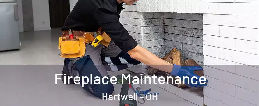 Fireplace Maintenance Hartwell - OH