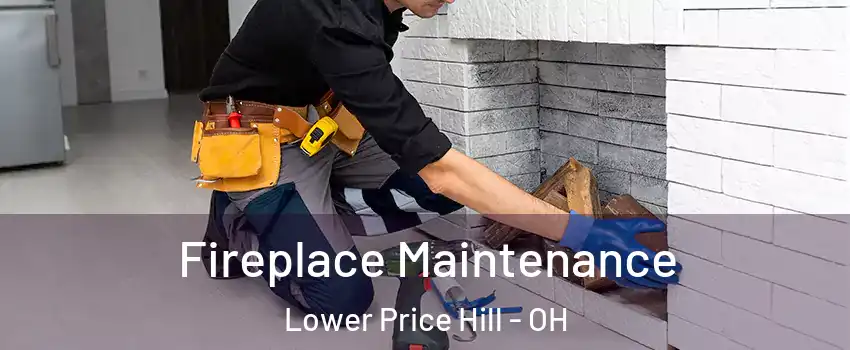 Fireplace Maintenance Lower Price Hill - OH