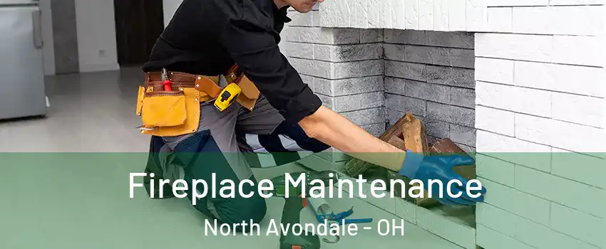 Fireplace Maintenance North Avondale - OH