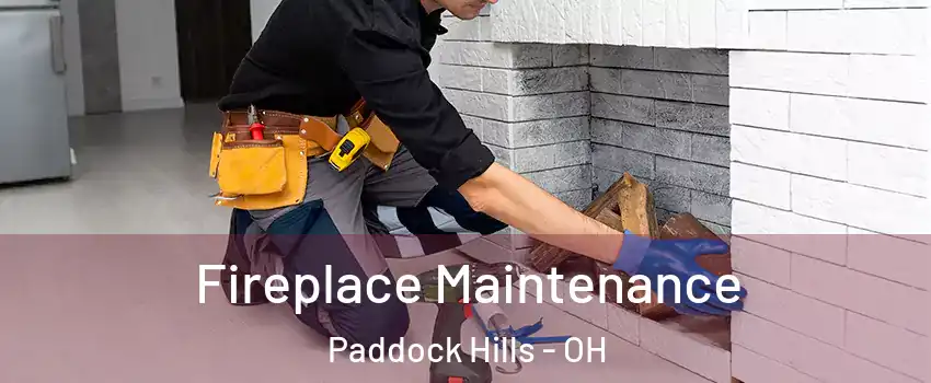 Fireplace Maintenance Paddock Hills - OH