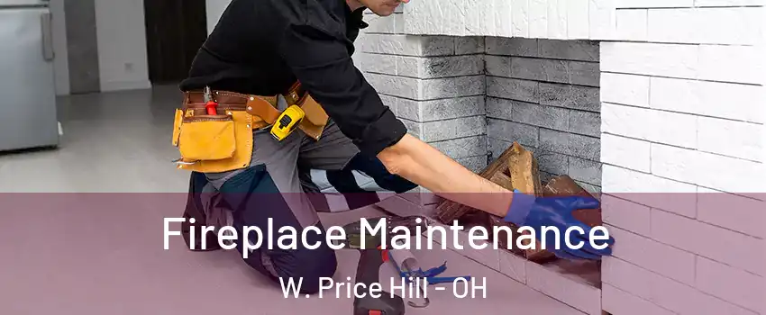 Fireplace Maintenance W. Price Hill - OH