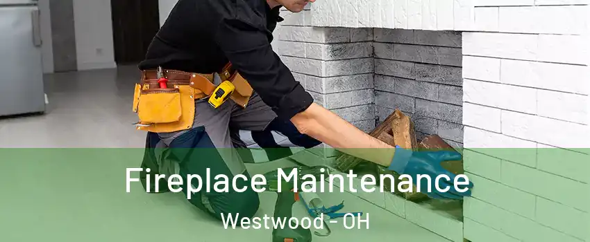 Fireplace Maintenance Westwood - OH