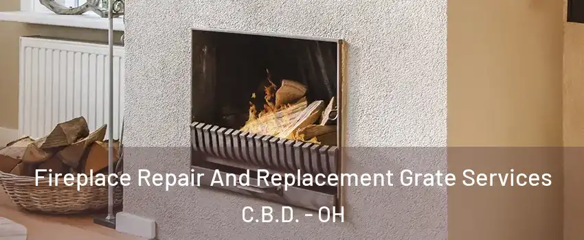 Fireplace Repair And Replacement Grate Services C.B.D. - OH