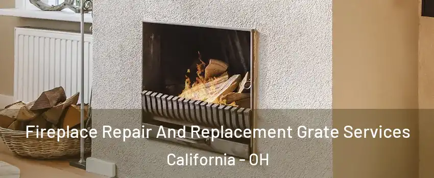 Fireplace Repair And Replacement Grate Services California - OH