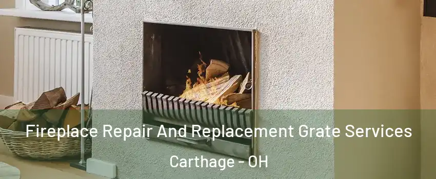 Fireplace Repair And Replacement Grate Services Carthage - OH