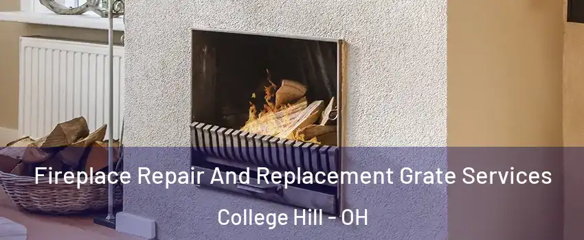 Fireplace Repair And Replacement Grate Services College Hill - OH