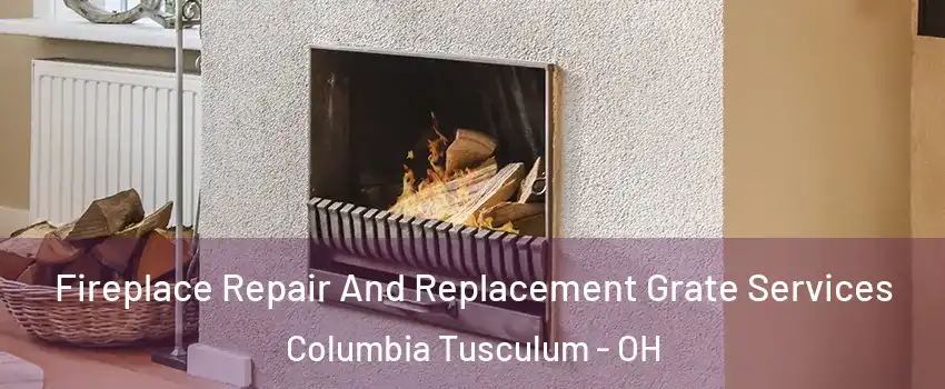 Fireplace Repair And Replacement Grate Services Columbia Tusculum - OH