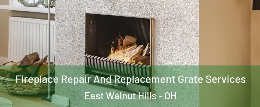 Fireplace Repair And Replacement Grate Services East Walnut Hills - OH