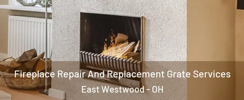 Fireplace Repair And Replacement Grate Services East Westwood - OH