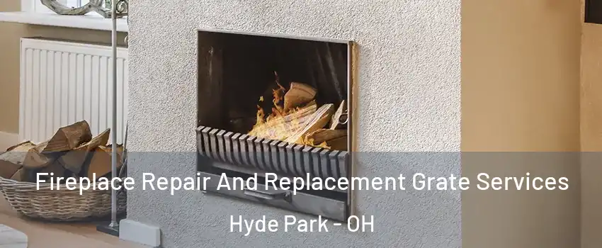 Fireplace Repair And Replacement Grate Services Hyde Park - OH