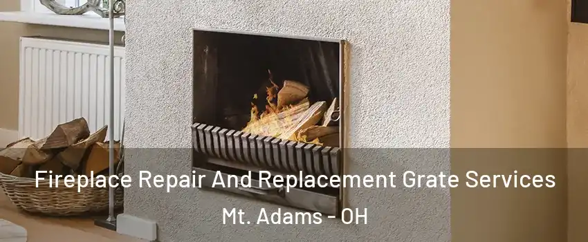 Fireplace Repair And Replacement Grate Services Mt. Adams - OH