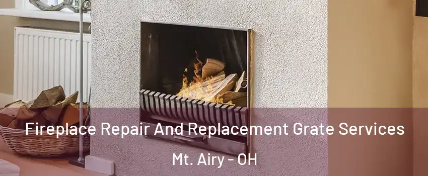 Fireplace Repair And Replacement Grate Services Mt. Airy - OH