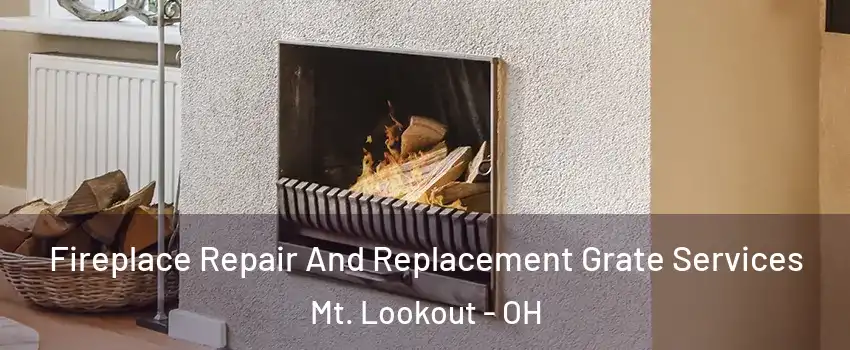 Fireplace Repair And Replacement Grate Services Mt. Lookout - OH