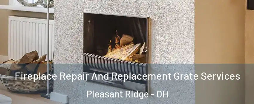 Fireplace Repair And Replacement Grate Services Pleasant Ridge - OH