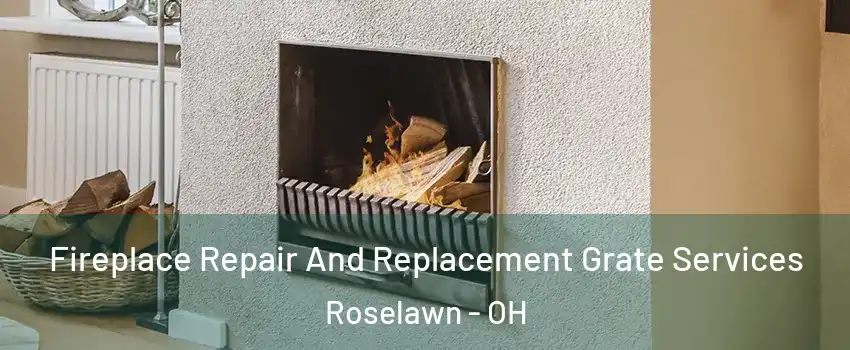 Fireplace Repair And Replacement Grate Services Roselawn - OH